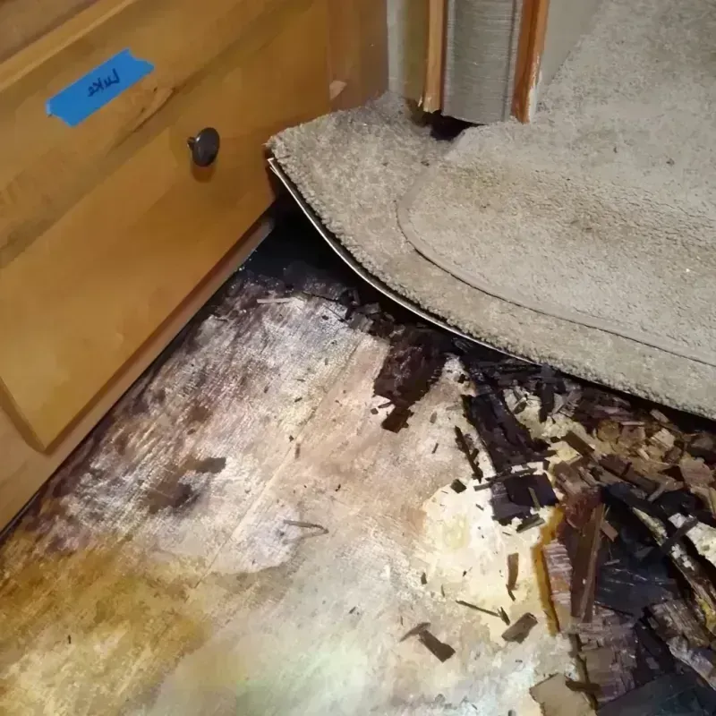 Wood Floor Water Damage in West Frankfort, IL